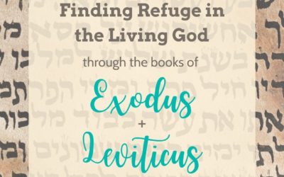 Refuge in Freedom and Boundaries: Exodus and Leviticus